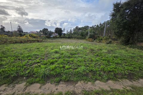 Helårsgrund i Aveiro, Aveiro, Aveiro - € 15.000 | Ref: VEN-4139 - foto 7