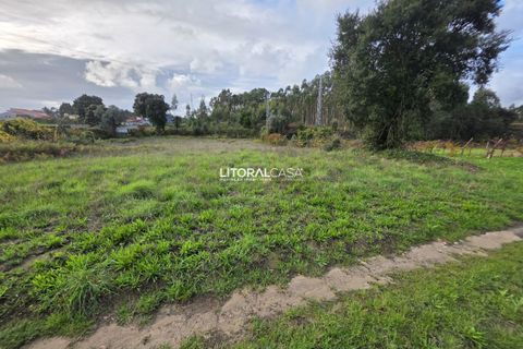 Helårsgrund i Aveiro, Aveiro, Aveiro - € 15.000 | Ref: VEN-4139 - foto 8