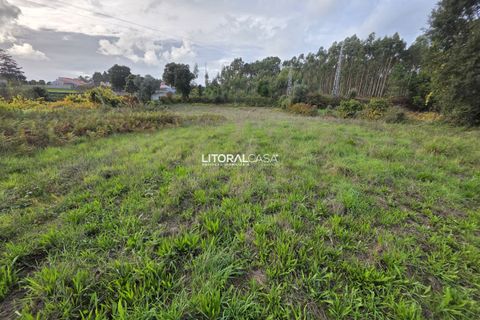 Helårsgrund i Aveiro, Aveiro, Aveiro - € 15.000 | Ref: VEN-4139 - foto 10