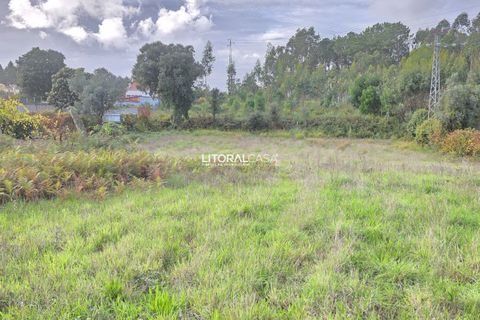 Helårsgrund i Aveiro, Aveiro, Aveiro - € 15.000 | Ref: VEN-4139 - foto 11