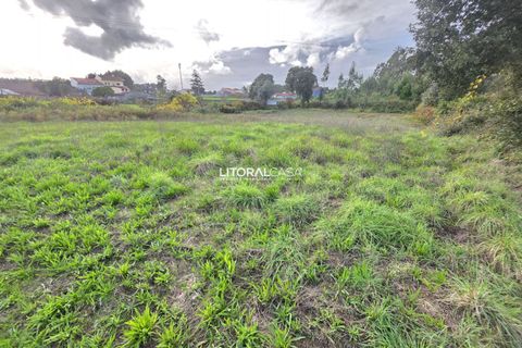 Helårsgrund i Aveiro, Aveiro, Aveiro - € 15.000 | Ref: VEN-4139 - foto 12