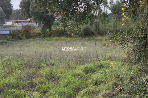 Helårsgrund i Aveiro, Aveiro, Aveiro - € 15.000 | Ref: VEN-4139 - foto 14