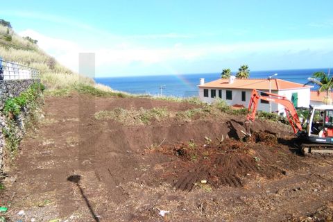 Terra a Sao Vincente, Madeira, Sao Vincente - € 320.000 | Ref: KWPT-024524 - foto 10