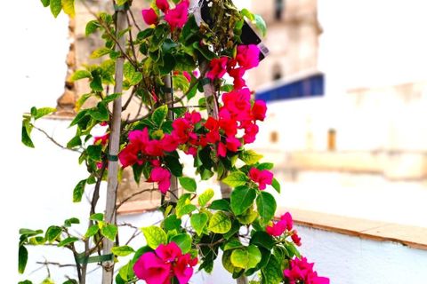 Byhus i Malaga city, Malaga, Malaga city - € 3.500.000 | Ref: SPCRM4165 - foto 29