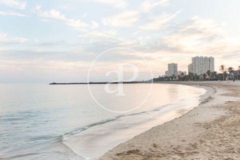 Helårsgrund i Valencia, Valencia, Valencia - € 1.300.000 | Ref: VV2511038 - foto 14