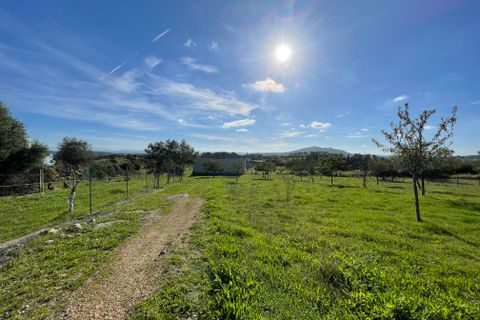 Helårsgrund i Moscari, Mallorca, Moscari - € 795.000 | Ref: 82897 - foto 1