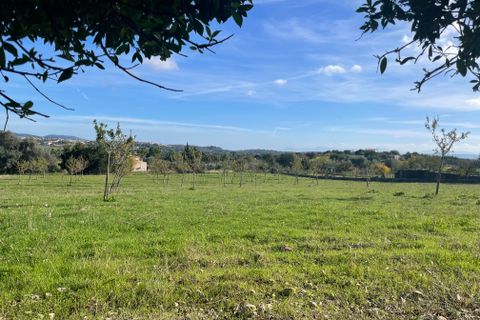 Helårsgrund i Moscari, Mallorca, Moscari - € 795.000 | Ref: 82897 - foto 2