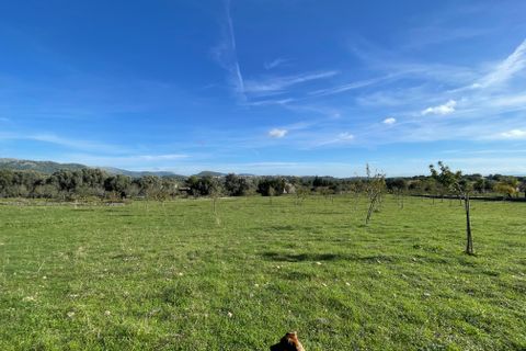 Helårsgrund i Moscari, Mallorca, Moscari - € 795.000 | Ref: 82897 - foto 5