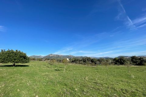 Helårsgrund i Moscari, Mallorca, Moscari - € 795.000 | Ref: 82897 - foto 6