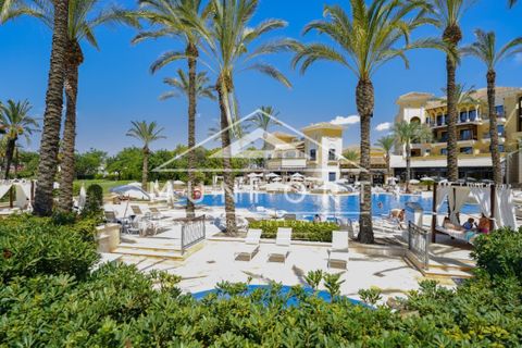 Helårsgrund i Torre Pacheco, Murcia, Torre Pacheco - € 349.900 | Ref: PB028-D - foto 14