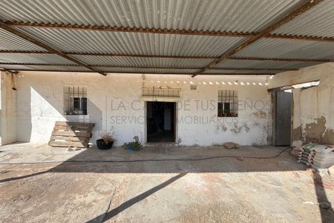 Villa i Elche, Alicante, Elche - € 150.000 | Ref: CAS_1470 - foto 3