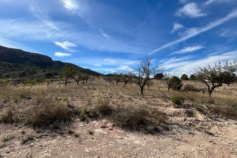 Villa i Elche, Alicante, Elche - € 150.000 | Ref: CAS_1470 - foto 30