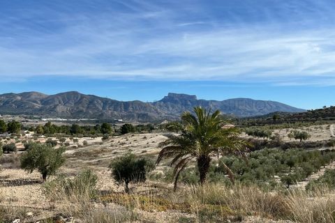 Villa i Elche, Alicante, Elche - € 150.000 | Ref: CAS_1470 - foto 32