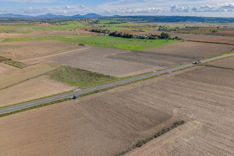 Terra a Petra, Mallorca, Petra - € 12.000 | Ref: 08MRSN004/10961 - foto 7