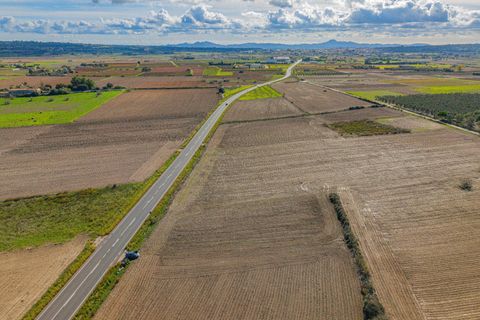 Terra a Petra, Mallorca, Petra - € 12.000 | Ref: 08MRSN004/10961 - foto 8