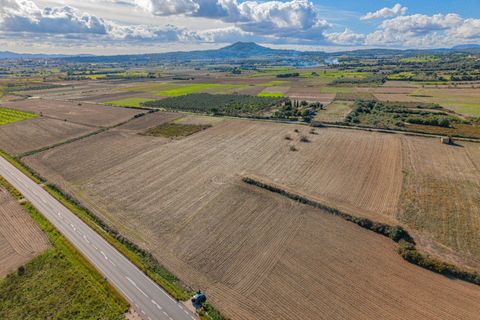 Terra a Petra, Mallorca, Petra - € 12.000 | Ref: 08MRSN004/10961 - foto 9