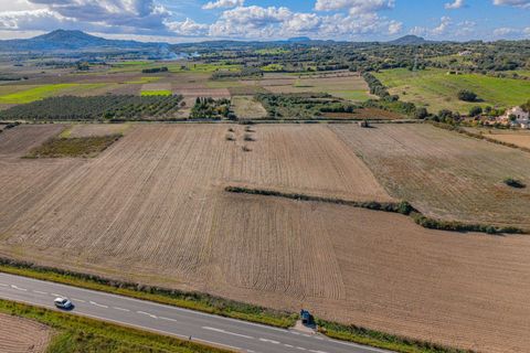 Terra a Petra, Mallorca, Petra - € 12.000 | Ref: 08MRSN004/10961 - foto 10