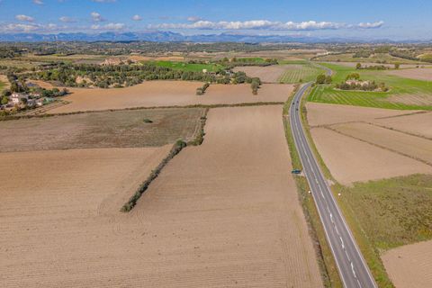 Terra a Petra, Mallorca, Petra - € 12.000 | Ref: 08MRSN004/10961 - foto 12