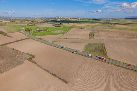 Terra a Petra, Mallorca, Petra - € 12.000 | Ref: 08MRSN004/10961 - foto 13