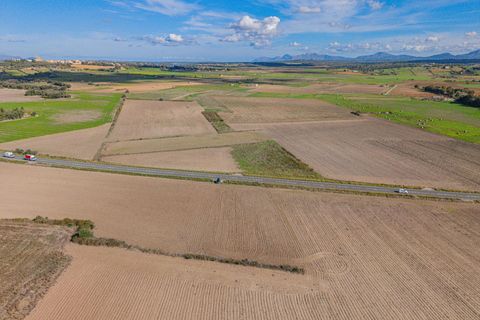 Terra a Petra, Mallorca, Petra - € 12.000 | Ref: 08MRSN004/10961 - foto 14
