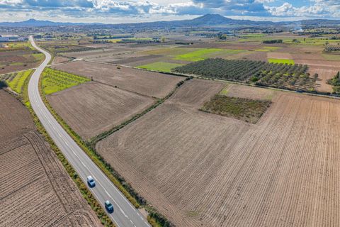 Tomt i Petra, Mallorca, Petra - € 14 000 | Ref: 08MRSN005/10961 - foto 9