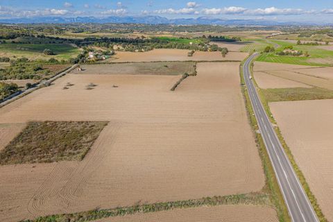 Tomt i Petra, Mallorca, Petra - € 14 000 | Ref: 08MRSN003/10961 - foto 11