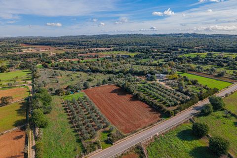 Tomt i Llubi, Mallorca, Llubi - € 23 000 | Ref: 08MRNT001/10961 - foto 8