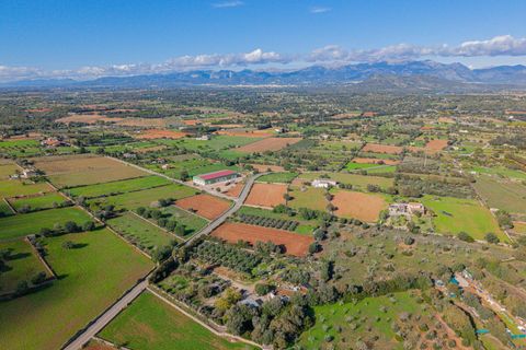 Tomt i Llubi, Mallorca, Llubi - € 23 000 | Ref: 08MRNT001/10961 - foto 10