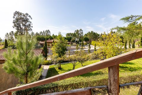 Farm i Pombal, Leiria, Pombal - € 1.790.000 | Ref: DHL199 - foto 2