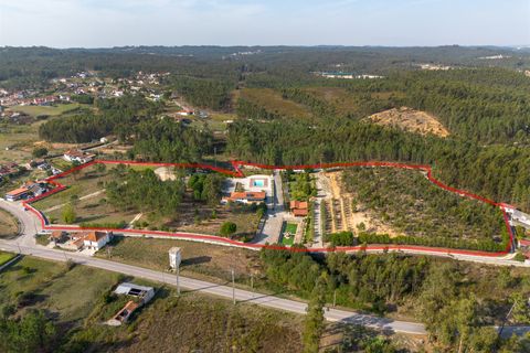Farm i Pombal, Leiria, Pombal - € 1.790.000 | Ref: DHL199 - foto 1