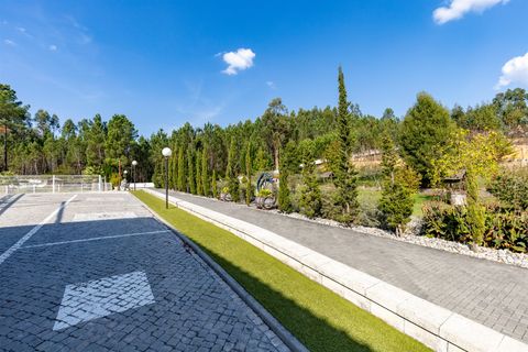 Farm i Pombal, Leiria, Pombal - € 1.790.000 | Ref: DHL199 - foto 5