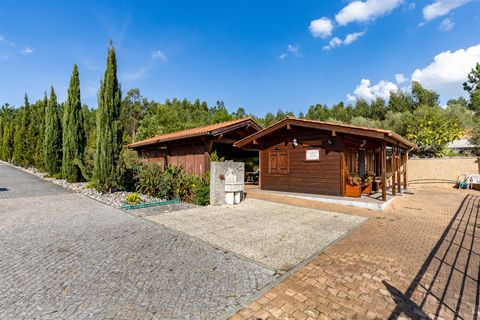 Farm i Pombal, Leiria, Pombal - € 1.790.000 | Ref: DHL199 - foto 11