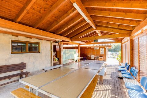 Farm i Pombal, Leiria, Pombal - € 1.790.000 | Ref: DHL199 - foto 19