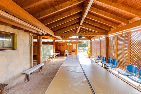 Farm i Pombal, Leiria, Pombal - € 1.790.000 | Ref: DHL199 - foto 20