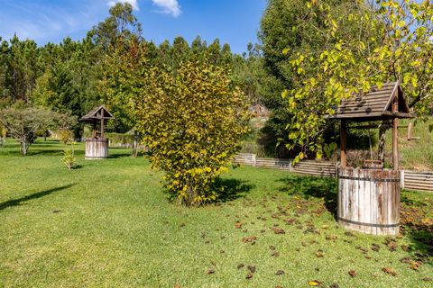 Farm i Pombal, Leiria, Pombal - € 1.790.000 | Ref: DHL199 - foto 21