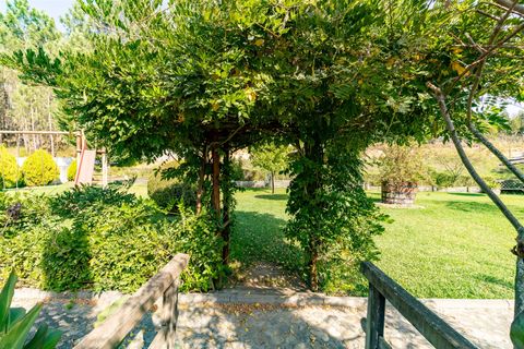 Farm i Pombal, Leiria, Pombal - € 1.790.000 | Ref: DHL199 - foto 23
