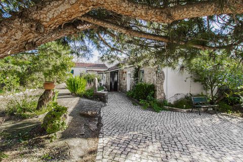 Landejendom i Alcobaca, Leiria, Alcobaca - € 837.500 | Ref: 373240131 - foto 19
