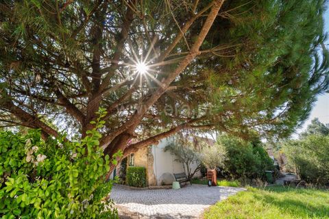 Landejendom i Alcobaca, Leiria, Alcobaca - € 837.500 | Ref: 373240131 - foto 20