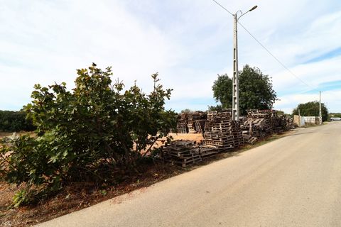 Terra a Albufeira, Faro, Albufeira - € 2.000/mes | Ref: VJP-1789 - foto 16