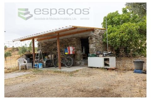 Farm i Castelo Branco, Castelo Branco, Castelo Branco - € 27.500 | Ref: 5703/EM_RR - foto 2