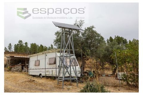 Farm i Castelo Branco, Castelo Branco, Castelo Branco - € 27.500 | Ref: 5703/EM_RR - foto 4