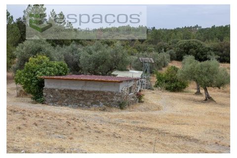 Farm i Castelo Branco, Castelo Branco, Castelo Branco - € 27.500 | Ref: 5703/EM_RR - foto 5