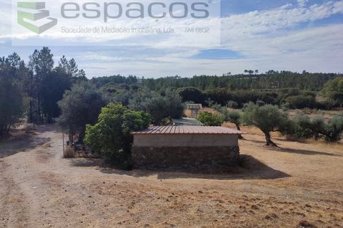 Farm i Castelo Branco, Castelo Branco, Castelo Branco - € 27.500 | Ref: 5703/EM_RR - foto 1