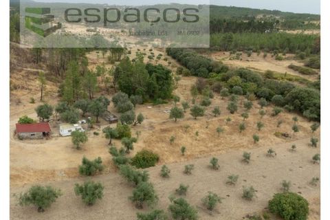 Farm i Castelo Branco, Castelo Branco, Castelo Branco - € 27.500 | Ref: 5703/EM_RR - foto 6