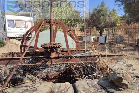 Farm i Castelo Branco, Castelo Branco, Castelo Branco - € 27.500 | Ref: 5703/EM_RR - foto 10