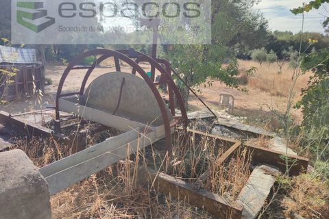 Farm i Castelo Branco, Castelo Branco, Castelo Branco - € 27.500 | Ref: 5703/EM_RR - foto 11