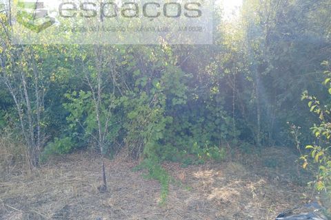 Farm i Castelo Branco, Castelo Branco, Castelo Branco - € 27.500 | Ref: 5703/EM_RR - foto 21