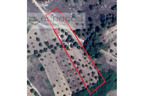 Farm i Castelo Branco, Castelo Branco, Castelo Branco - € 27.500 | Ref: 5703/EM_RR - foto 23