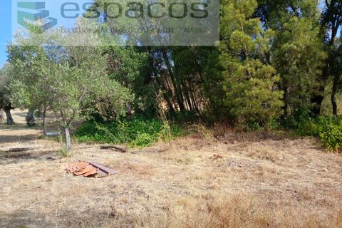Farm i Castelo Branco, Castelo Branco, Castelo Branco - € 27.500 | Ref: 5703/EM_RR - foto 15