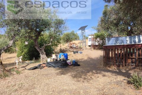 Farm i Castelo Branco, Castelo Branco, Castelo Branco - € 27.500 | Ref: 5703/EM_RR - foto 12